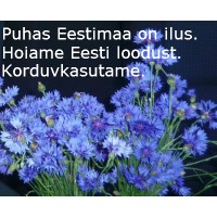 Hoia loodust - korduvkasuta!